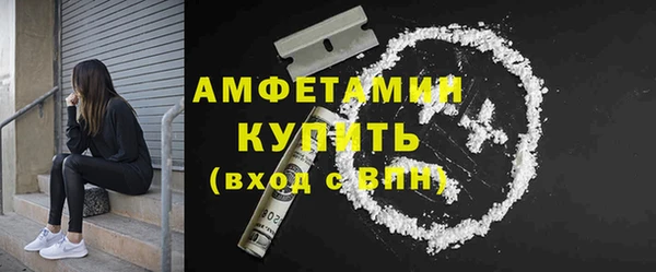 соль ск Новозыбков