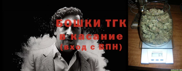 соль ск Новозыбков