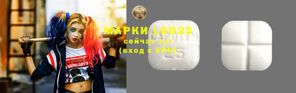 соль ск Новозыбков