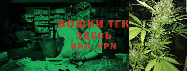соль ск Новозыбков