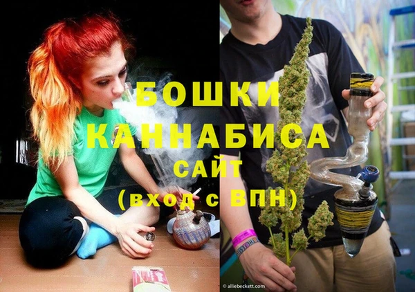 дурь Нея