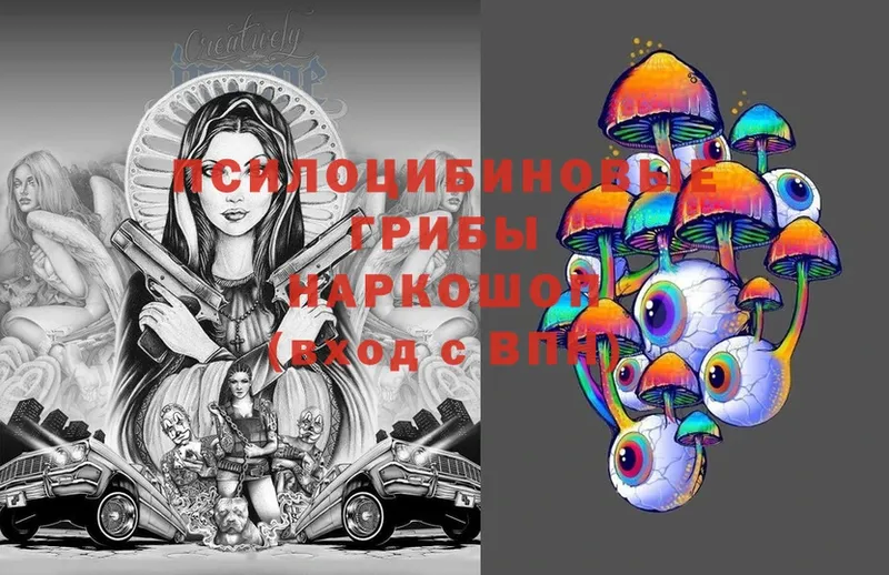 Галлюциногенные грибы Psilocybine cubensis  Ирбит 