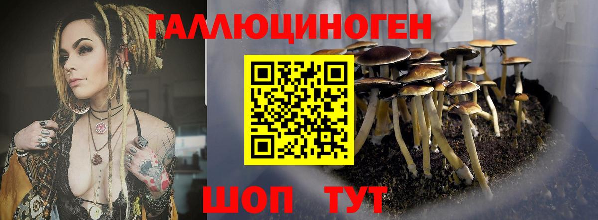 Галлюциногенные грибы Psilocybine cubensis  наркошоп  Ирбит 